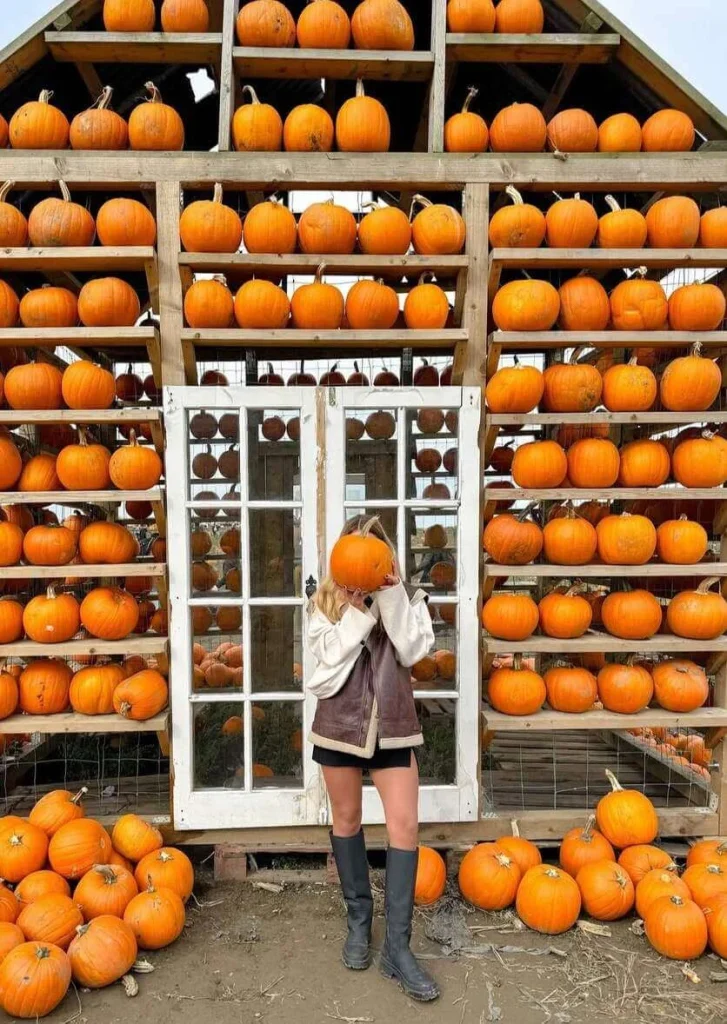 18. Mini Skirt and Shearling Vest